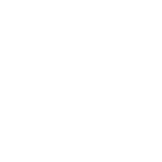 0011_SWTE_Netz_grey-1-1