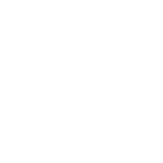 0011_SWTE_Netz_grey-1